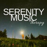 Serenity Music Therapy - Deep Sleep Therapy with Sounds of Nature, Soundscapes