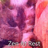 Zen At Rest