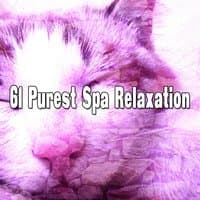 61 Purest Spa Relaxation