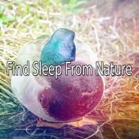 Find Sleep From Nature