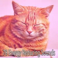 78 Energy Reducing Sounds