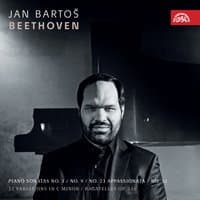 Beethoven: Piano Sonatas