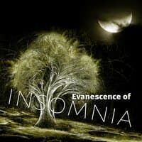 Evanescence of Insomnia - Piano Songs, Restful Sleep, Sounds of Nature, Chill Out Music, Healing Meditation, Total Relax