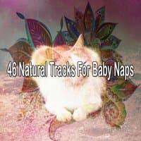 46 Natural Tracks for Baby Naps