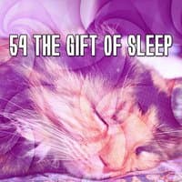 54 The Gift Of Sleep