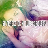 50 Tracks Of Nature For Sleep