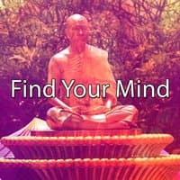 Find Your Mind