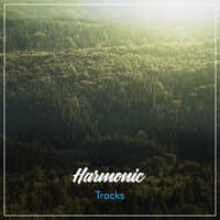 #19 Harmonic Tracks to Calm the Mind