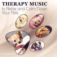 Therapy Music to Relax and Calm Down Your Pets: Relaxation for Dogs, Cats and Other Animals, Stress Relief, Anxiety Medication, Sleep Aids, Dog Whisperer Comfort and Happiness with Nature Sounds