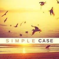 Simple Case - Quiet Rest, Silence Around, Calmness, Gentle Light