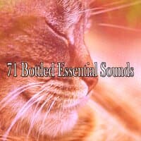 71 Bottled Essential Sounds