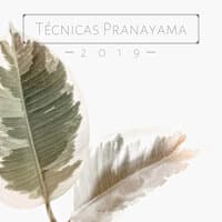 Técnicas Pranayama 2019 - 20 Canciones Ejercicios de Respiración y Yoga