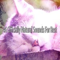 46 Officially Natural Sounds For Rest