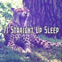 71 Straight Up Sleep