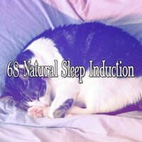 68 Natural Sleep Induction