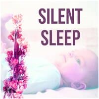 Silent Sleep - Classical Lullabies for Your Baby, Sleep Music for Children