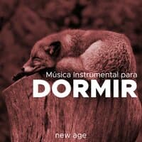 Musica Instrumental para Dormir