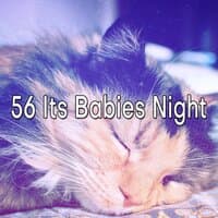 56 Its Babies Night