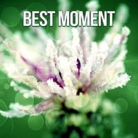 Best Moment - Beautiful Mind, Breathe Well, Perfect Precision, Only Nature, Rhythm of Rest