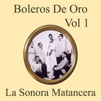 Boleros de Oro Medley: Historia de un amor / Angustia / Aunque me cueste la vida / Tuya y mas que tuya / Desgracia / En el balcon aquel / Indiferente