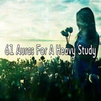 61 Auras for a Heavy Study