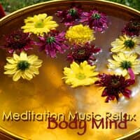 Meditation Music Relax Body Mind – Wonderful Relaxing Music for Sleeping & Release