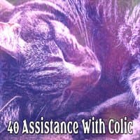 40 Assistance With Colic