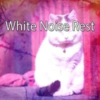 White Noise Rest