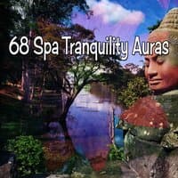 68 Spa Tranquility Auras