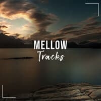 #19 Mellow Tracks to Aid Relaxation & Massage