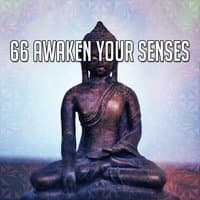 66 Awaken Your Senses