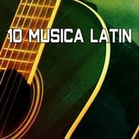 10 Musica Latin