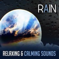 Rain: Relaxing & Calming Sounds – Healing Music for Deep Sleep, Relaxation & Reduce Stress, Universal Therapy