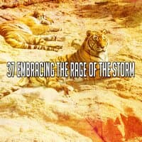 37 Embracing the Rage of the Storm