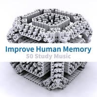 Improve Human Memory: 50 Study Music to Boost Your Concentration, Reducing Exam Anxiety, Brain Stimulation, Transform Your Thinking, Relaxation Meditation