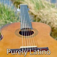 Purely Latino