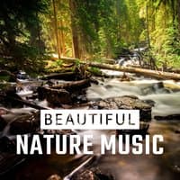 Beautiful Nature Music – Relax with Nature Sounds, Calming New Age Vibes, Stress Relief, Rest a Moment