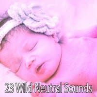 23 Wild Neutral Sounds