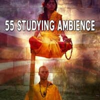 55 Studying Ambience