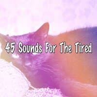 45 Sounds for the Tired