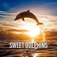 Sweet Dolphins for Sleep: Ocean Sounds Experience, Lullabies of Nature