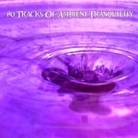 80 Tracks Of Ambient Tranquility