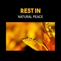 Rest in Natural Peace – Cure Insomnia, Lower Stress and Anxiety, Restorative Sleep with Soothing New Age Music, Deep Relaxation for Sleep