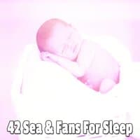 42 Sea & Fans for Sleep