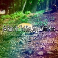 64 Rain On The Sea Sleep With Fans