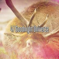 47 Goodnight Universe