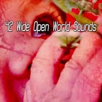 42 Wide Open World Sounds