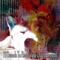 71 Sounds to Encourage Lucid Dreams