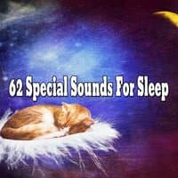 62 Special Sounds For Sleep