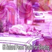 53 Natural Peace Tracks For Sleeping